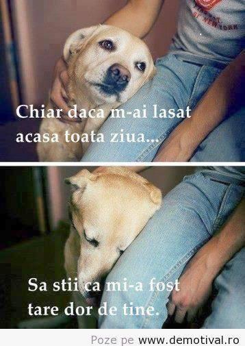 diverse 2 - f6o489yjx4nejpktuvano1er2ftaofhq07kueul6dk.jpg